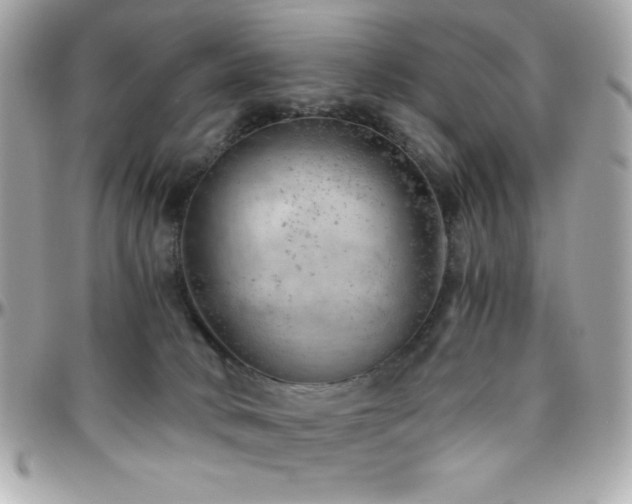 X0000096420034200801241326