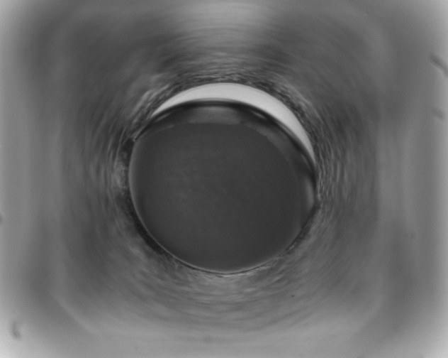 X0000096420035200801241326