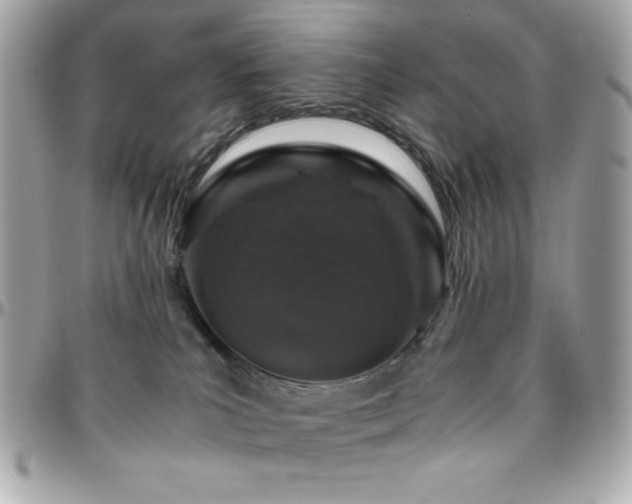 X0000096420039200801241326