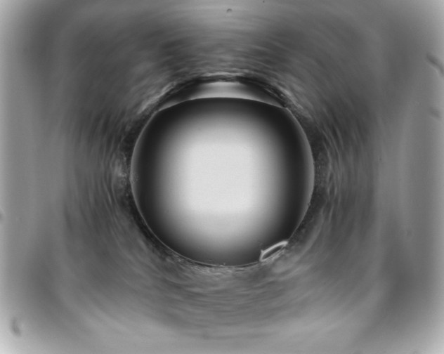 X0000096420040200801241326