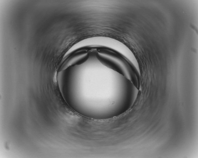 X0000096420041200801241326
