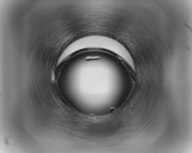 X0000096420042200801241326