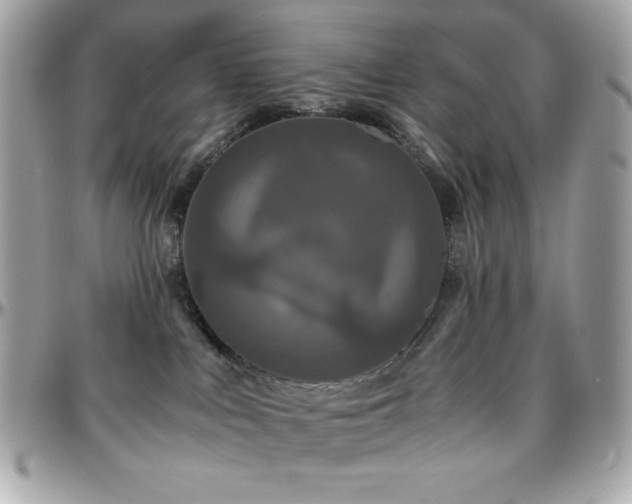 X0000096420043200801241326