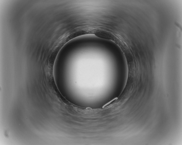 X0000096420044200801241326