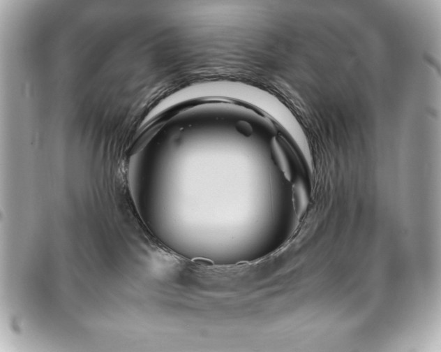X0000096420045200801241326