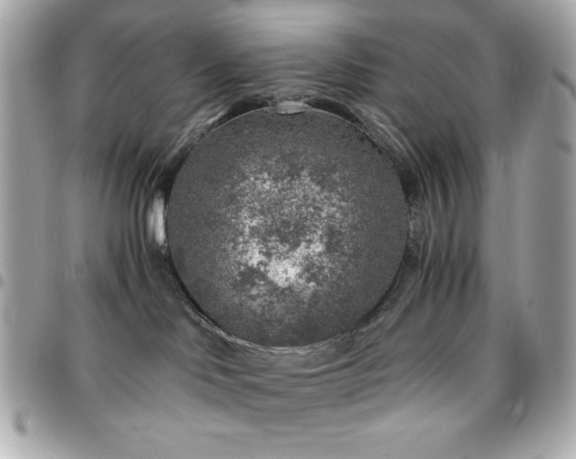 X0000096420046200801241326