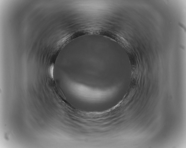 X0000096420047200801241326