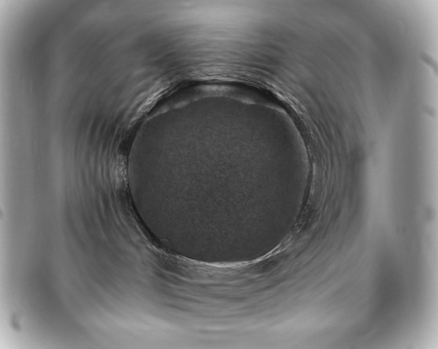 X0000096420048200801241326
