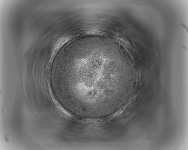 X0000096420049200801241325