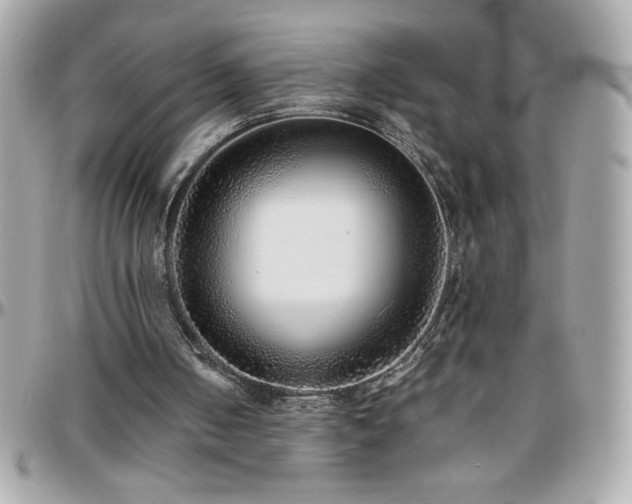 X0000096420050200801241325