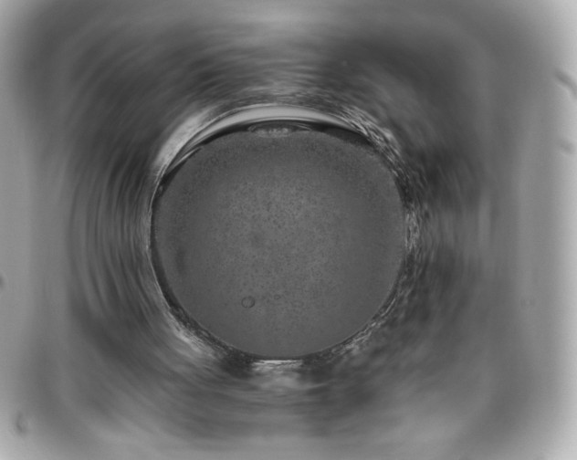 X0000096420051200801241325