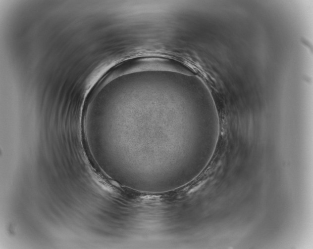X0000096420052200801241325