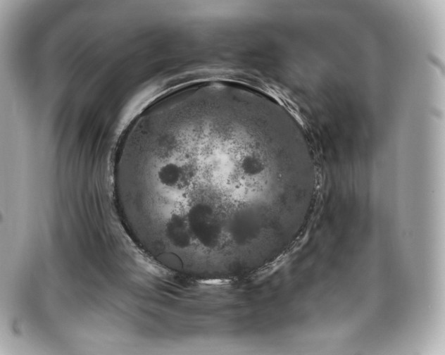 X0000096420053200801241325