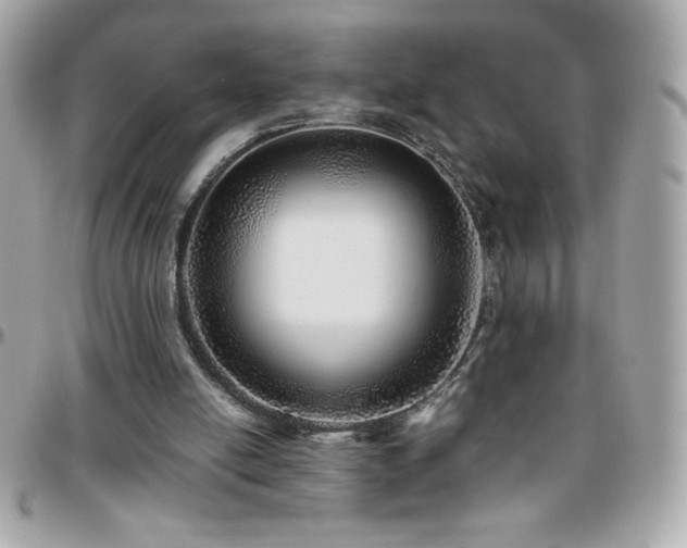 X0000096420054200801241325