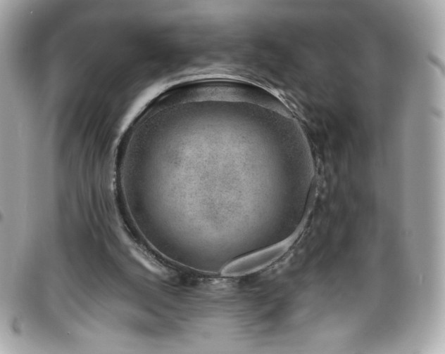 X0000096420056200801241325