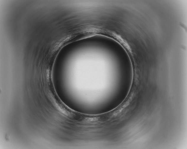 X0000096420057200801241326