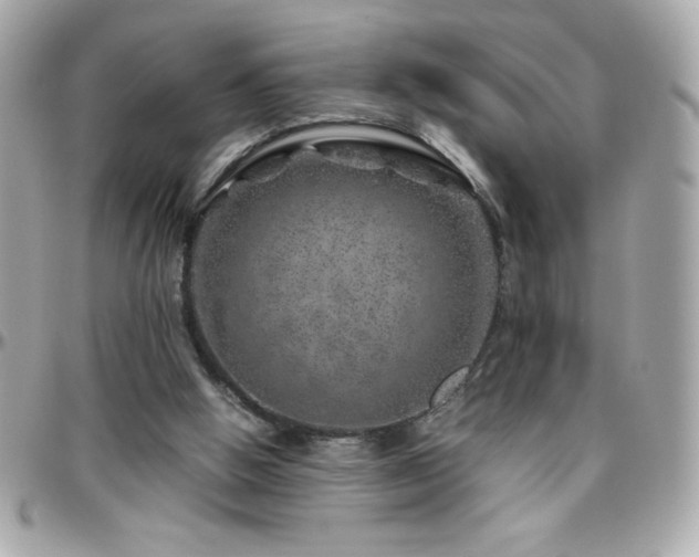 X0000096420058200801241326