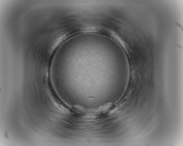 X0000096420059200801241326
