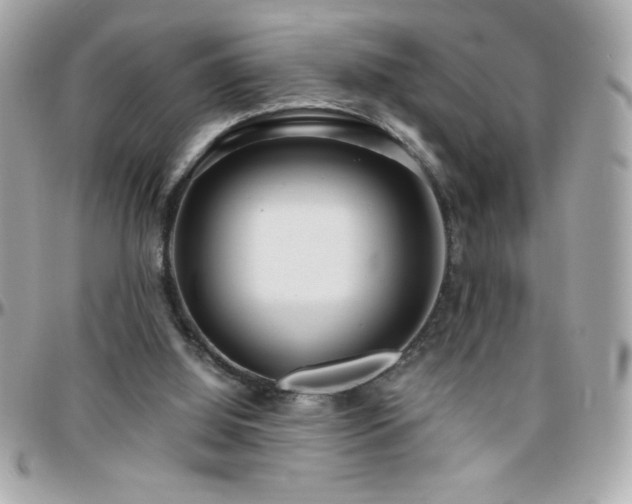 X0000096420060200801241326