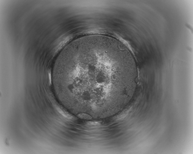 X0000096420061200801241326