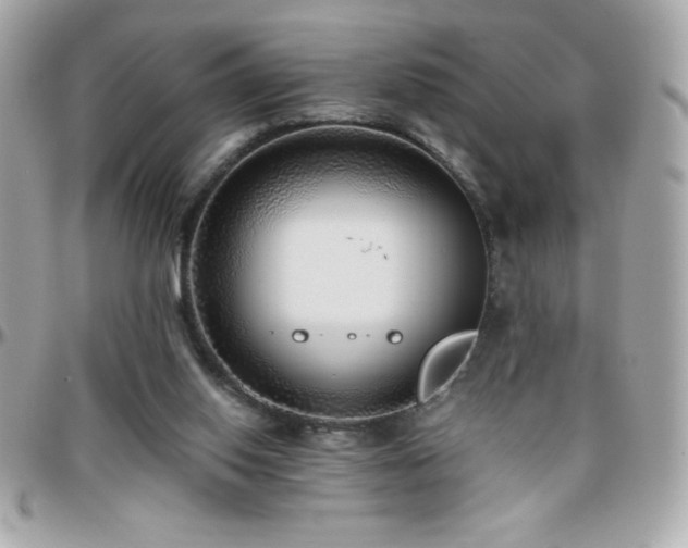 X0000096420062200801241326