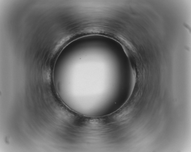X0000096420064200801241326