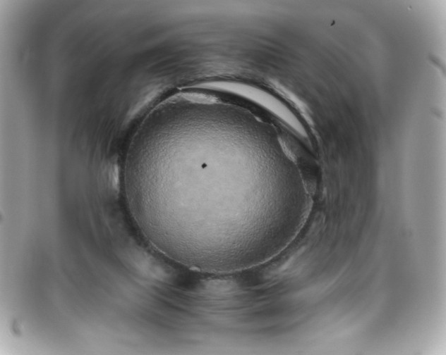 X0000096420067200801241326