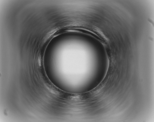 X0000096420068200801241326