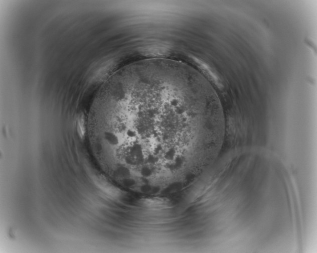 X0000096420069200801241326