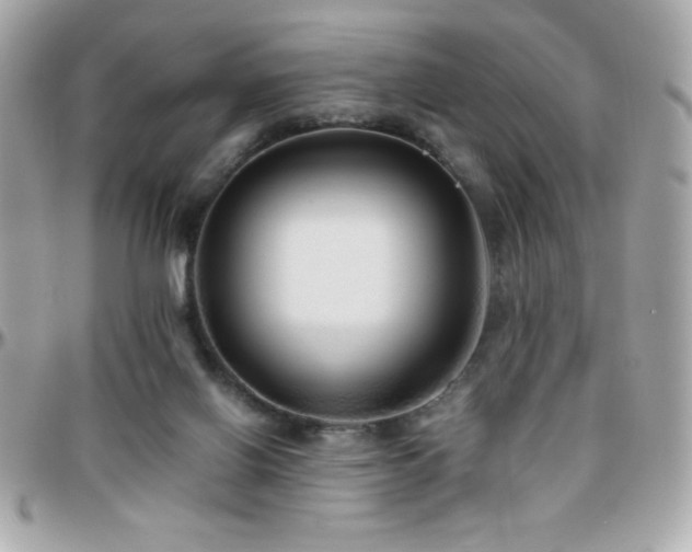 X0000096420070200801241326