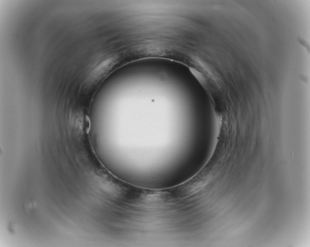 X0000096420072200801241326