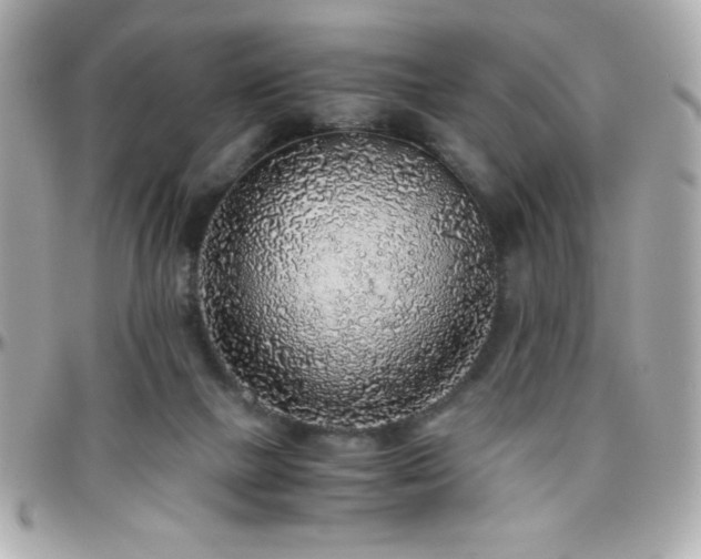 X0000096420073200801241326