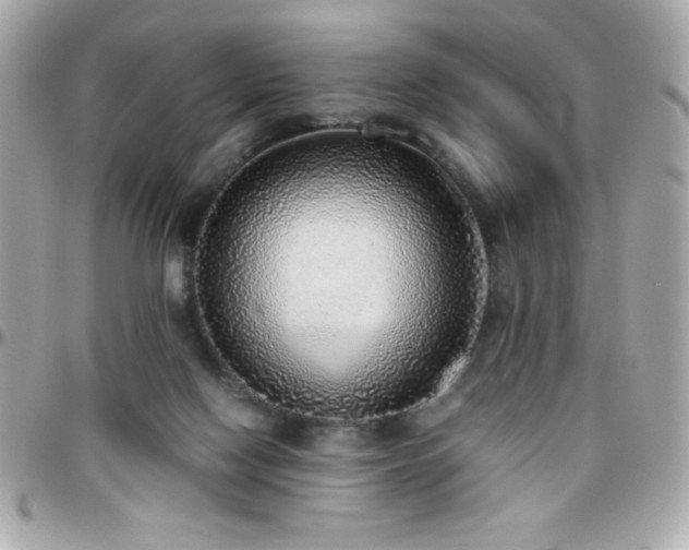 X0000096420074200801241326