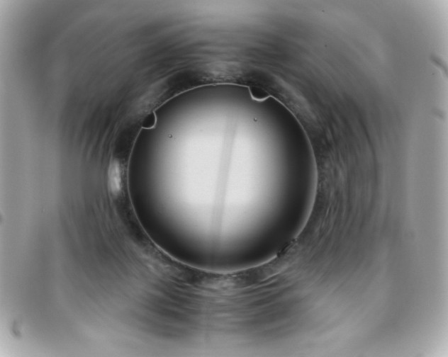 X0000096420075200801241326