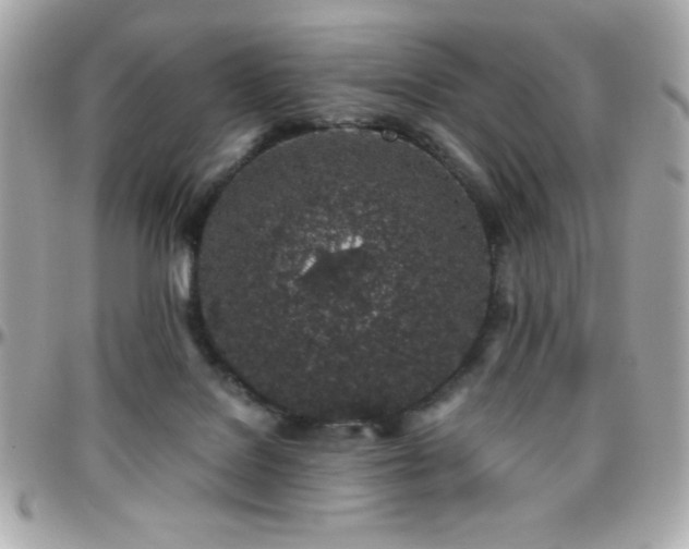 X0000096420076200801241326