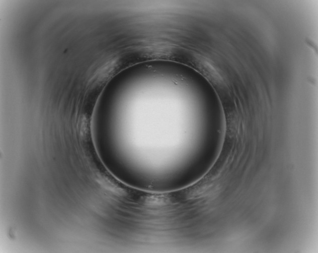 X0000096420077200801241326