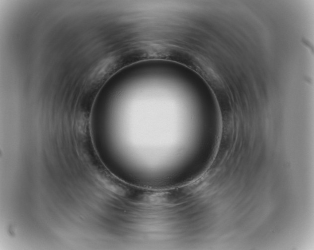 X0000096420078200801241326