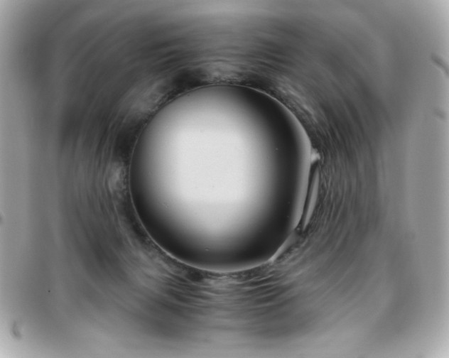 X0000096420079200801241326