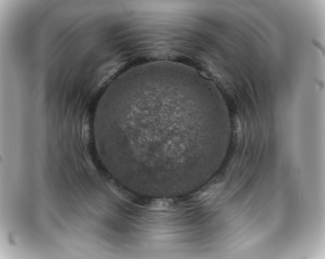 X0000096420080200801241326