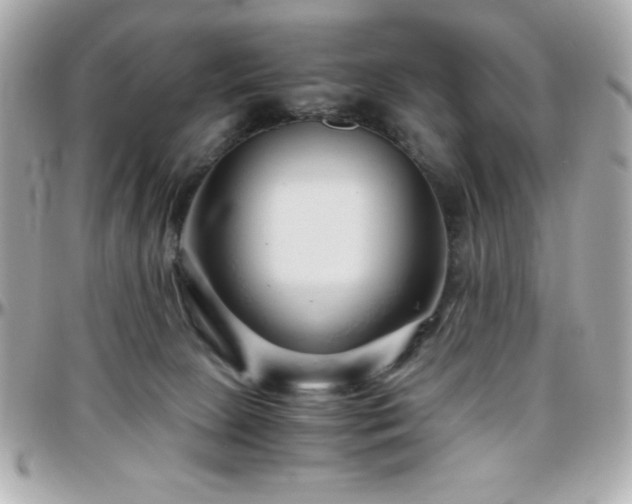 X0000096420081200801241326