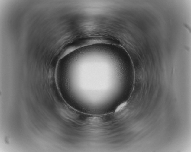 X0000096420082200801241326