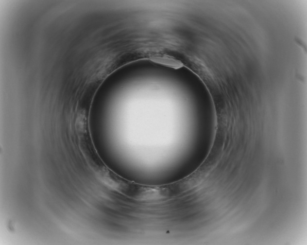 X0000096420083200801241326