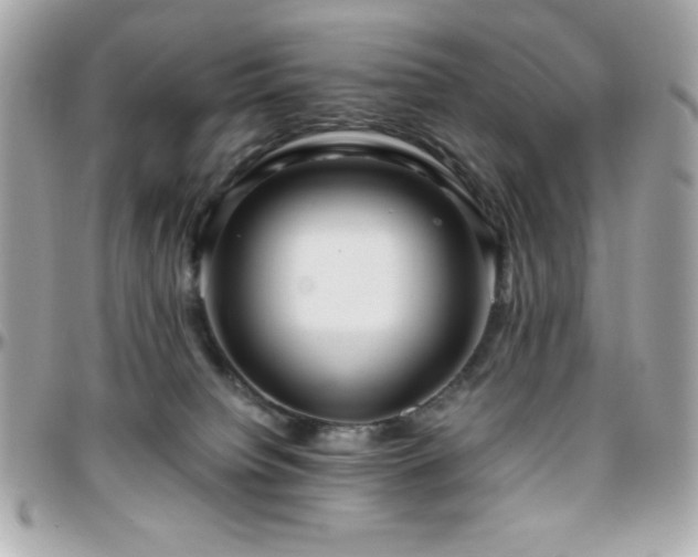 X0000096420084200801241326