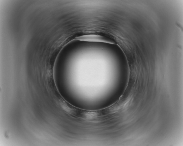 X0000096420085200801241326