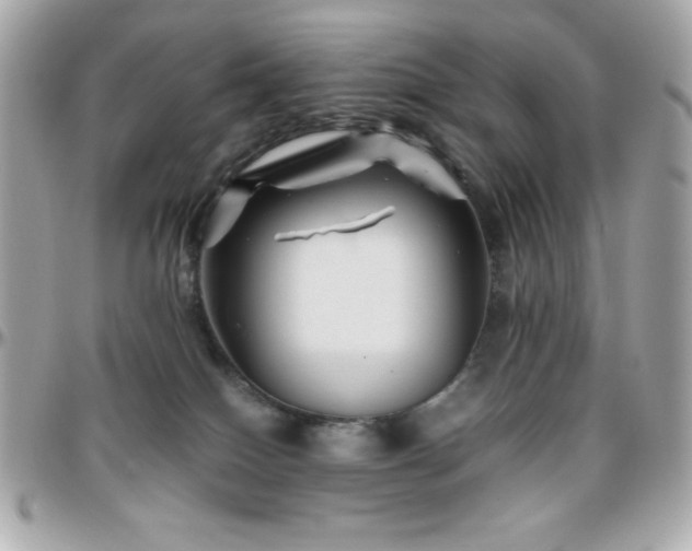 X0000096420086200801241326