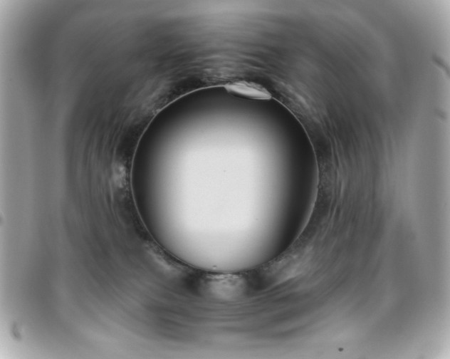 X0000096420087200801241326