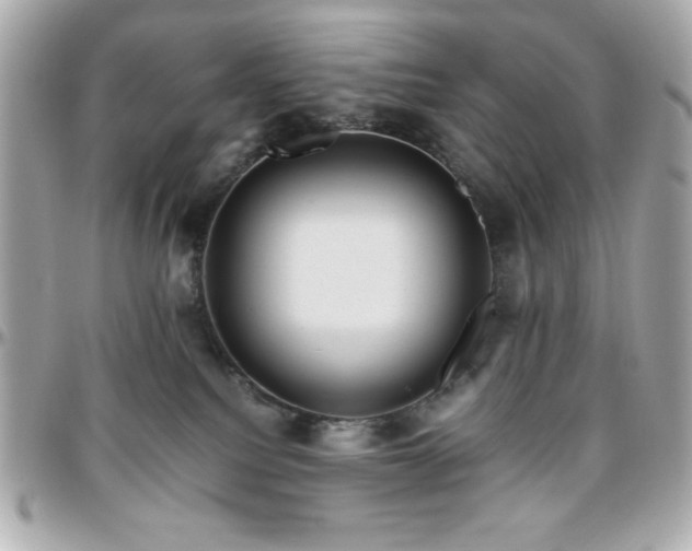X0000096420088200801241326