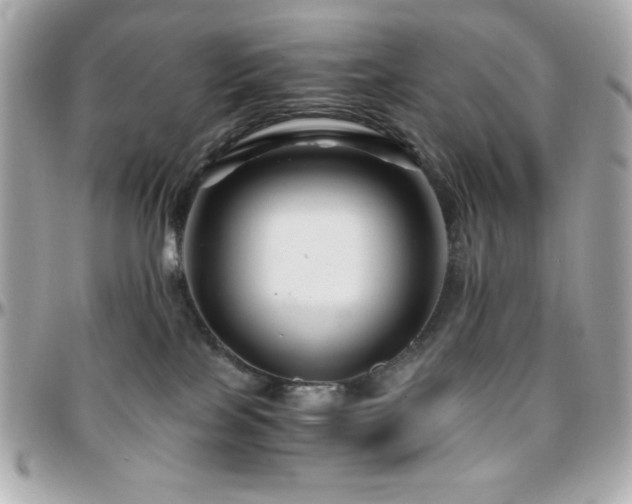 X0000096420089200801241326