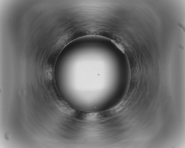X0000096420090200801241326