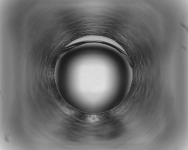 X0000096420091200801241326